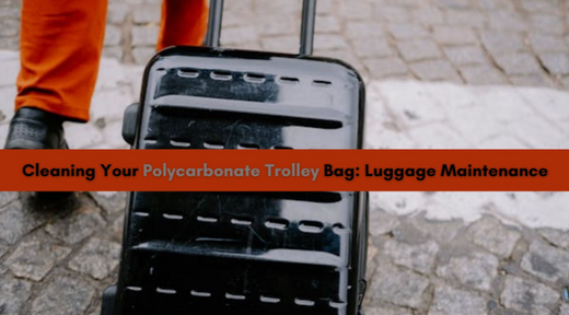 Cleaning Your Polycarbonate Trolley Bag: Luggage Maintenance