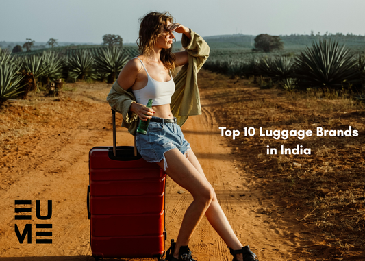 Top 10 Luggage Brands in India