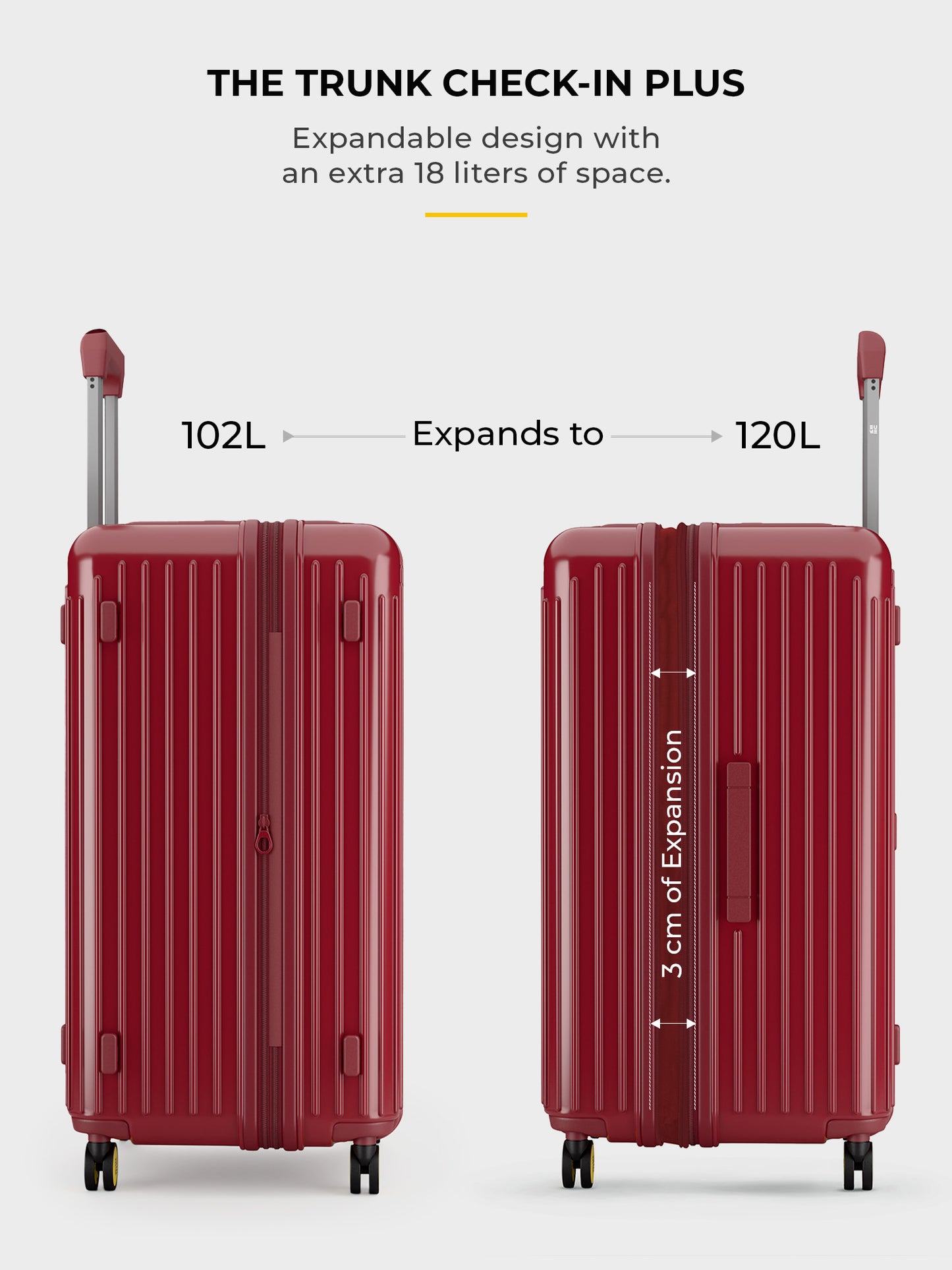 Trunk Check-In Plus