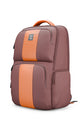Rustic Brown