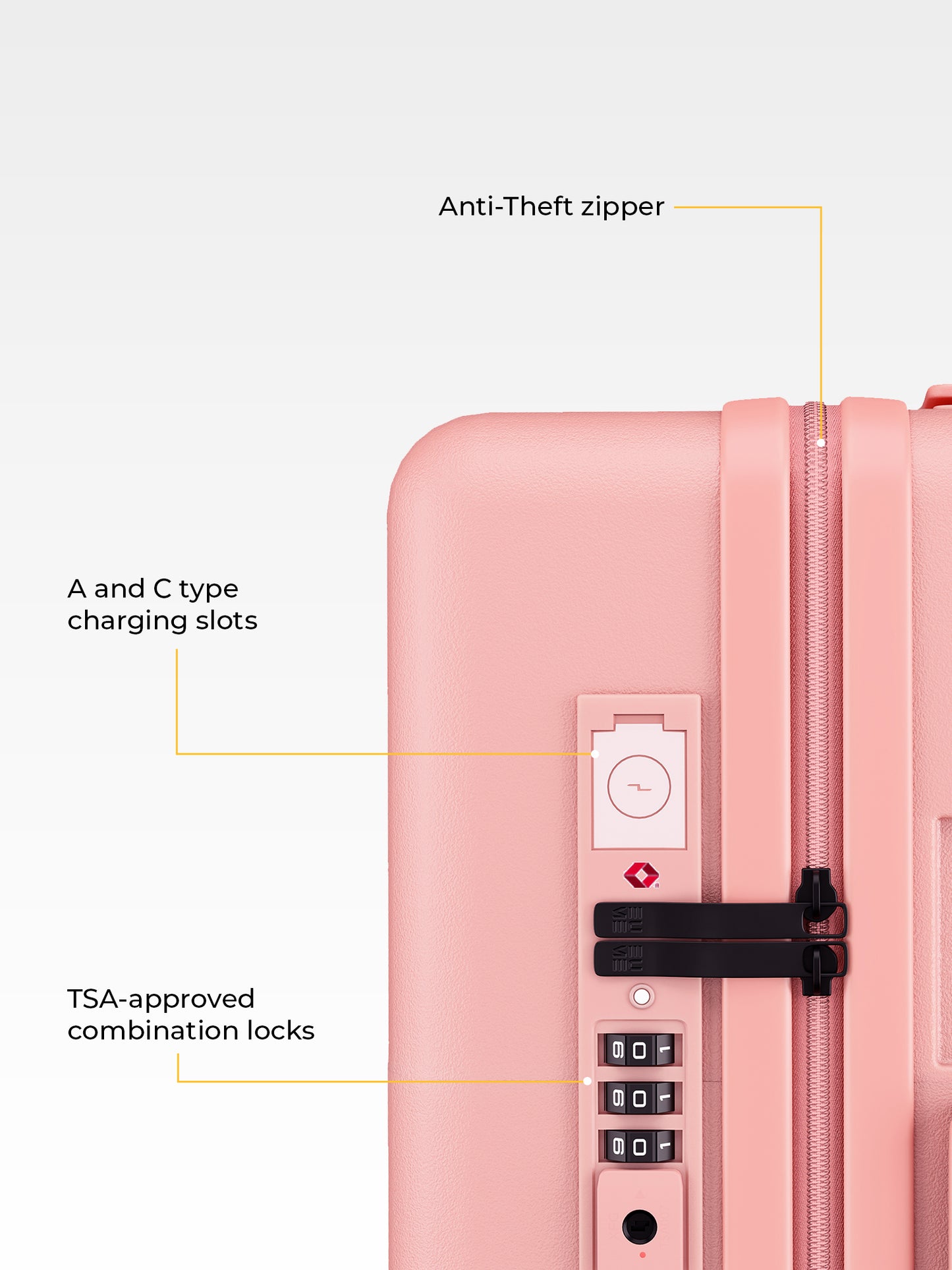 Classic Cabin + Check-In Medium